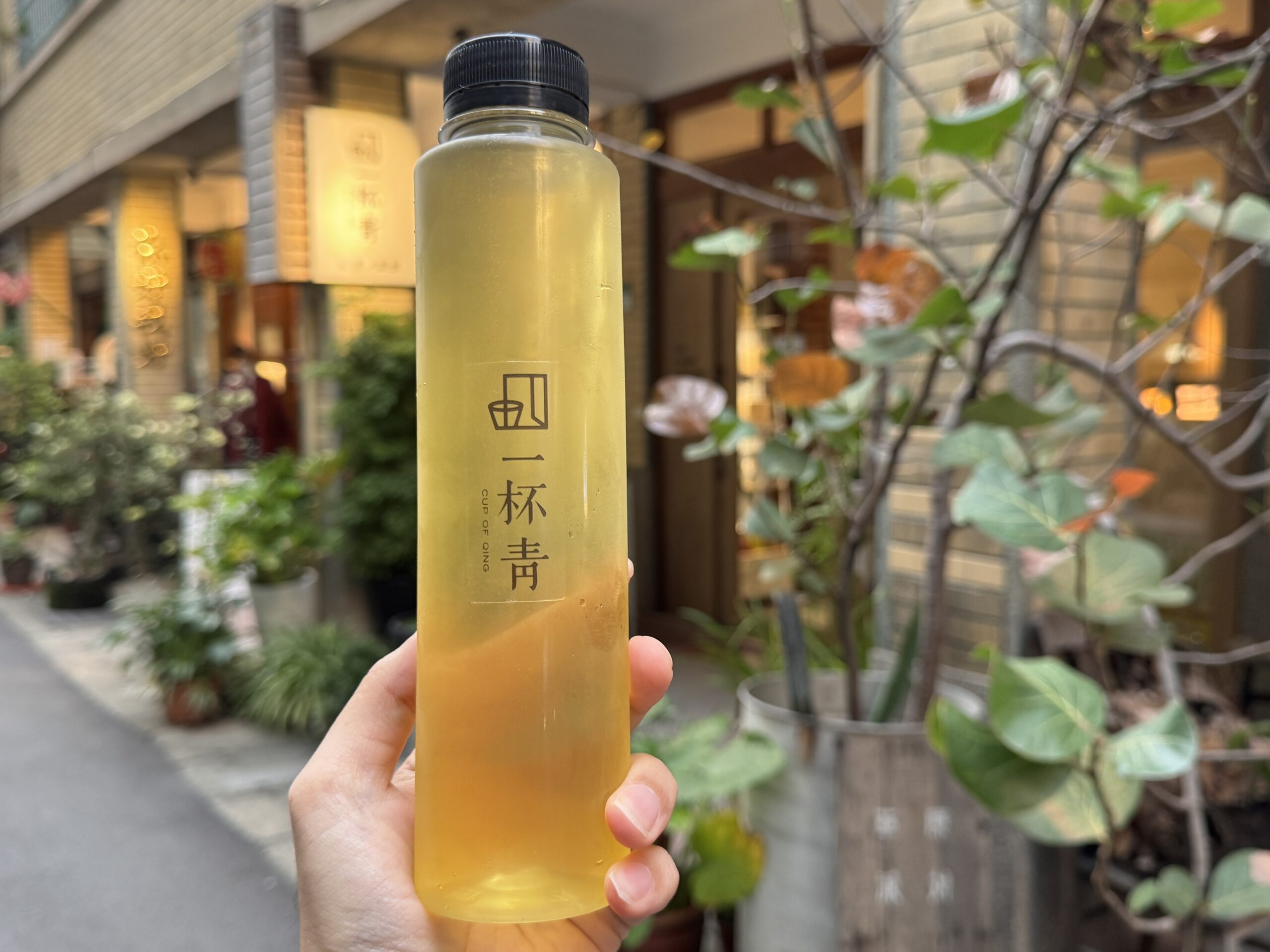 一杯靑の冷たいお茶